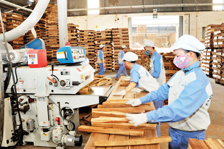 Bụi gỗ phát sinh trong các xưởng gỗ